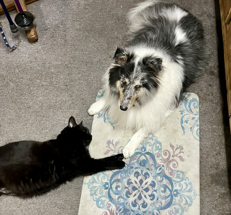 Lexi And Blackie2